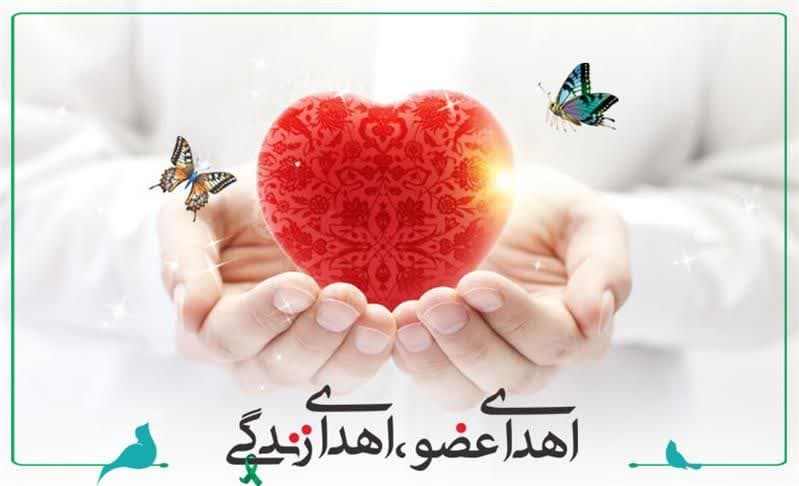 اهدای عضو بانوی فداکار اراکی، نجاتبخش جان چند بیمار شد
